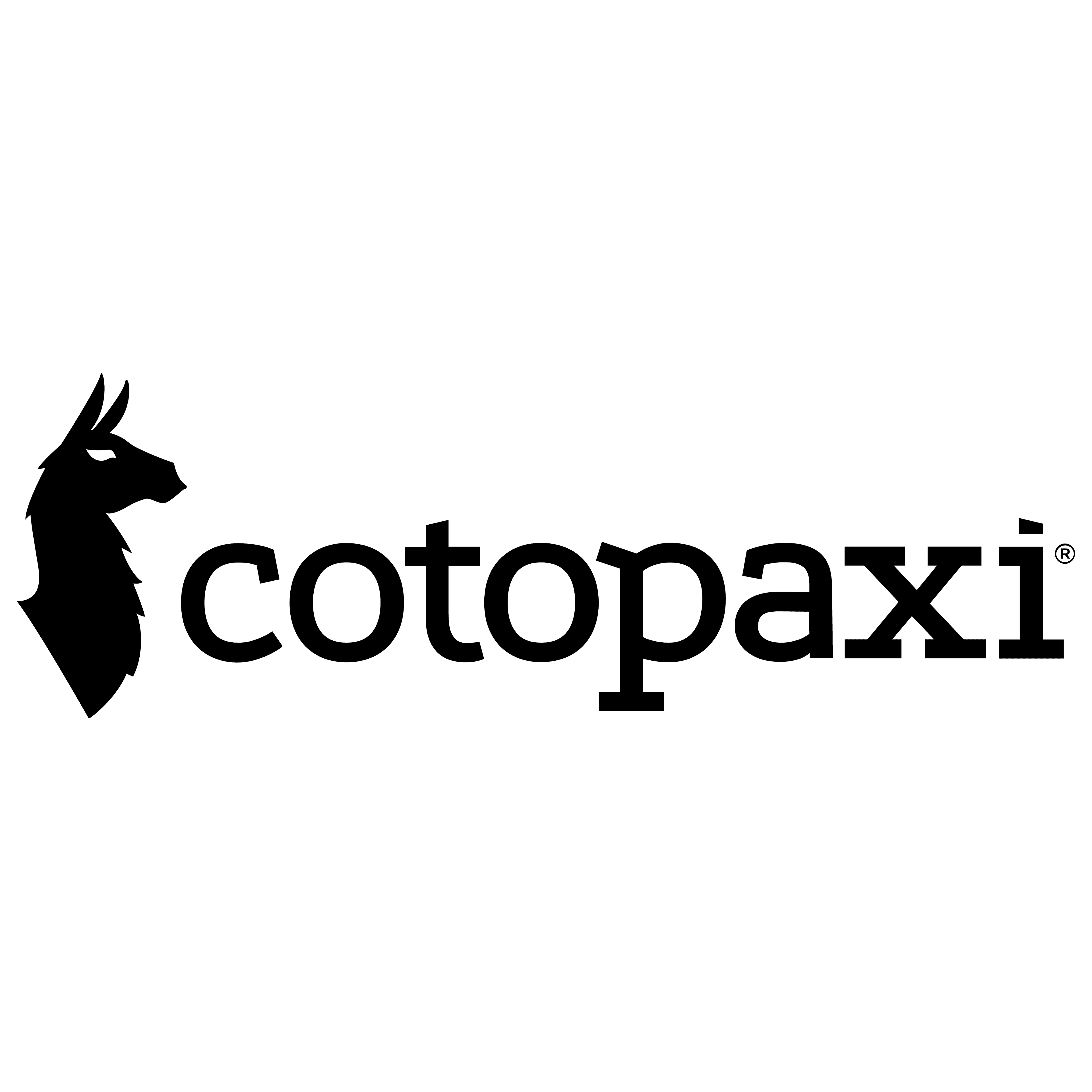 Cotopaxi Logo